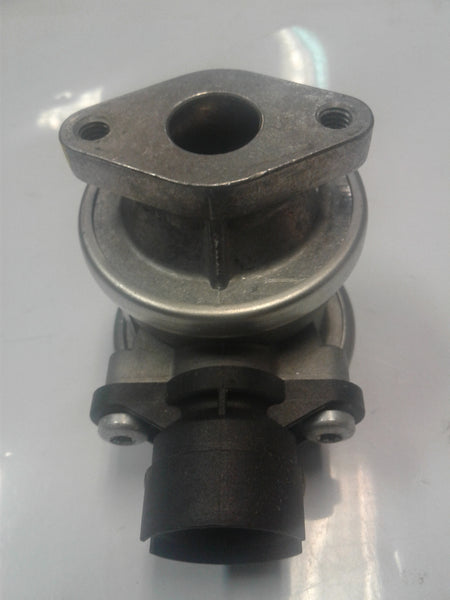 021131101E /021131101C EGR Valves with V6 Engine Type and VW